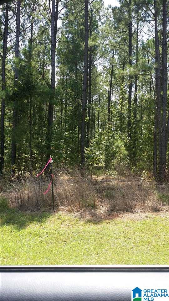 Country Club Road, Unit 7 Roanoke, AL 36274 - Photo 2 of 4