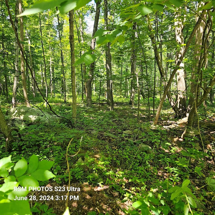 5431-35 Book Road Robertsdale, PA 16674 - Photo 14 of 23 Gallery Image 14