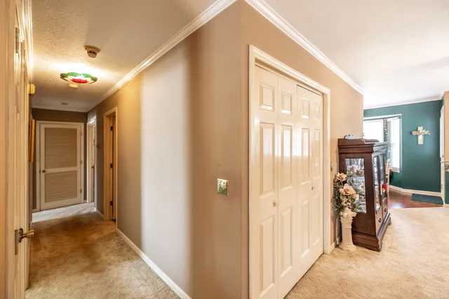 a bathroom with a shower and a toilet