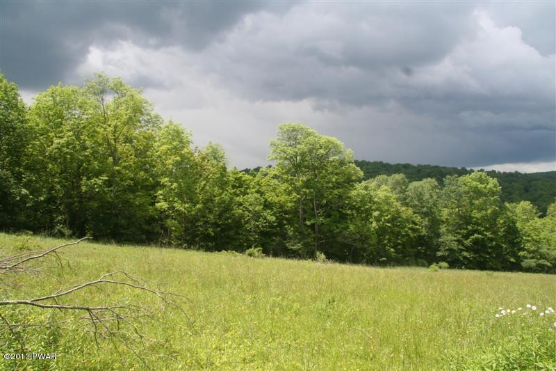 Creek Road Pleasant Mount, PA 18453 - Photo 3 of 9