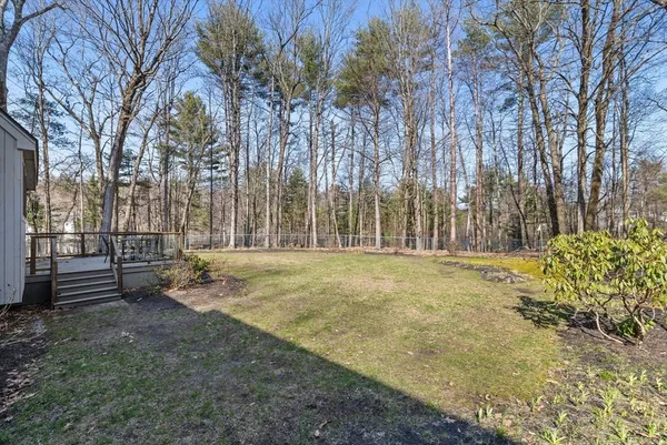 a view of outdoor space with deck and tree