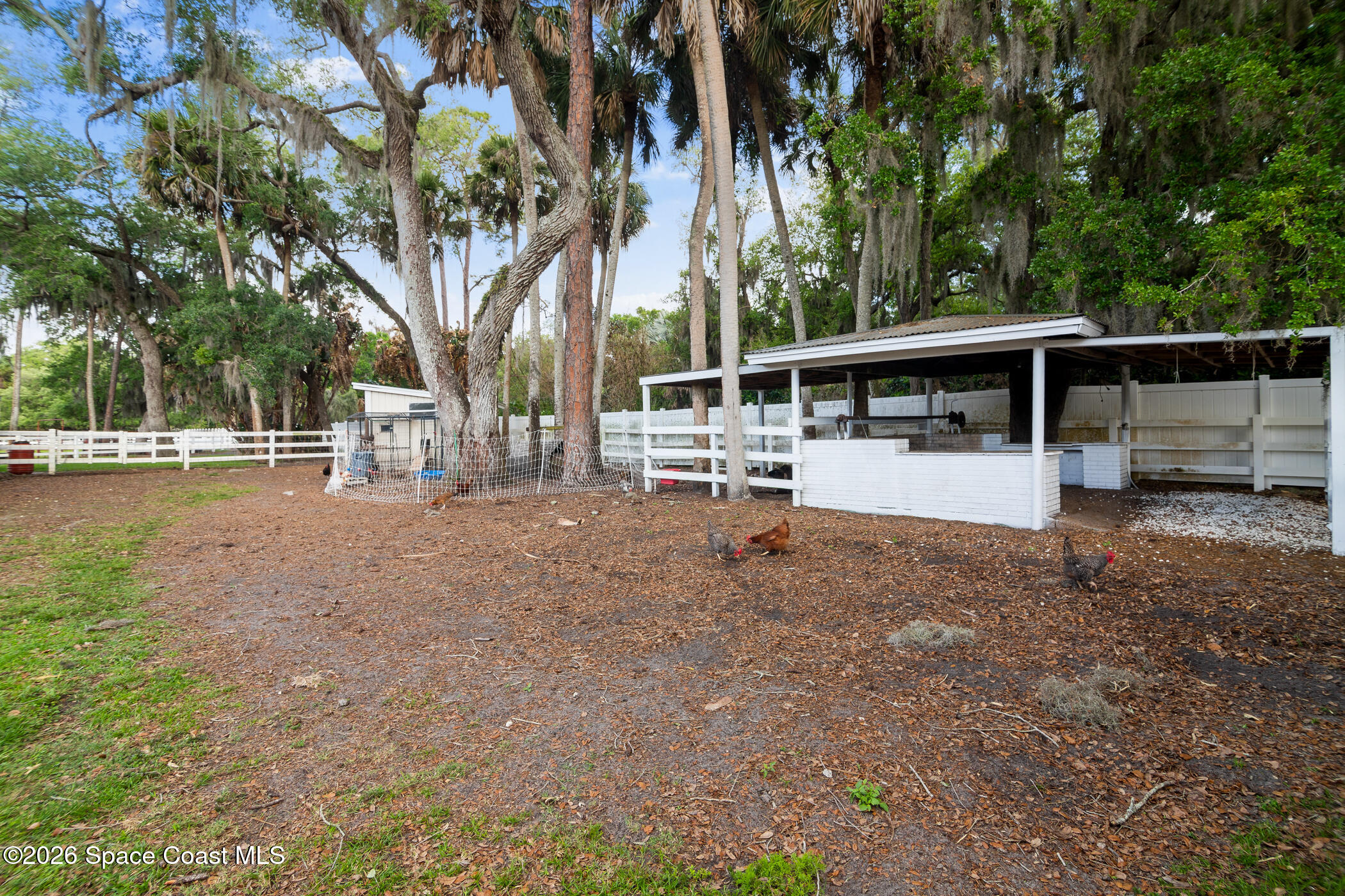 2885 Turtle Mound Road Melbourne, FL 32934 - Photo 60 of 77 BBQ Area