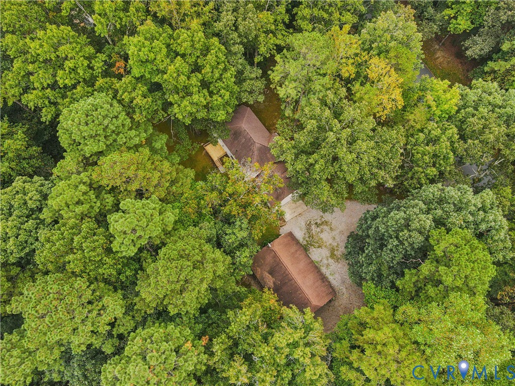 6530 Glebe Point Road Chesterfield, VA 23838 - Photo 36 of 41 a view of a plants of a building