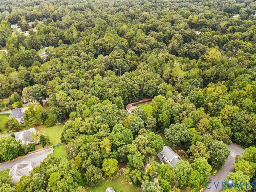 6530 Glebe Point Road Chesterfield, VA 23838 - Photo 40 of 41 a view of a large yard with plants and large trees