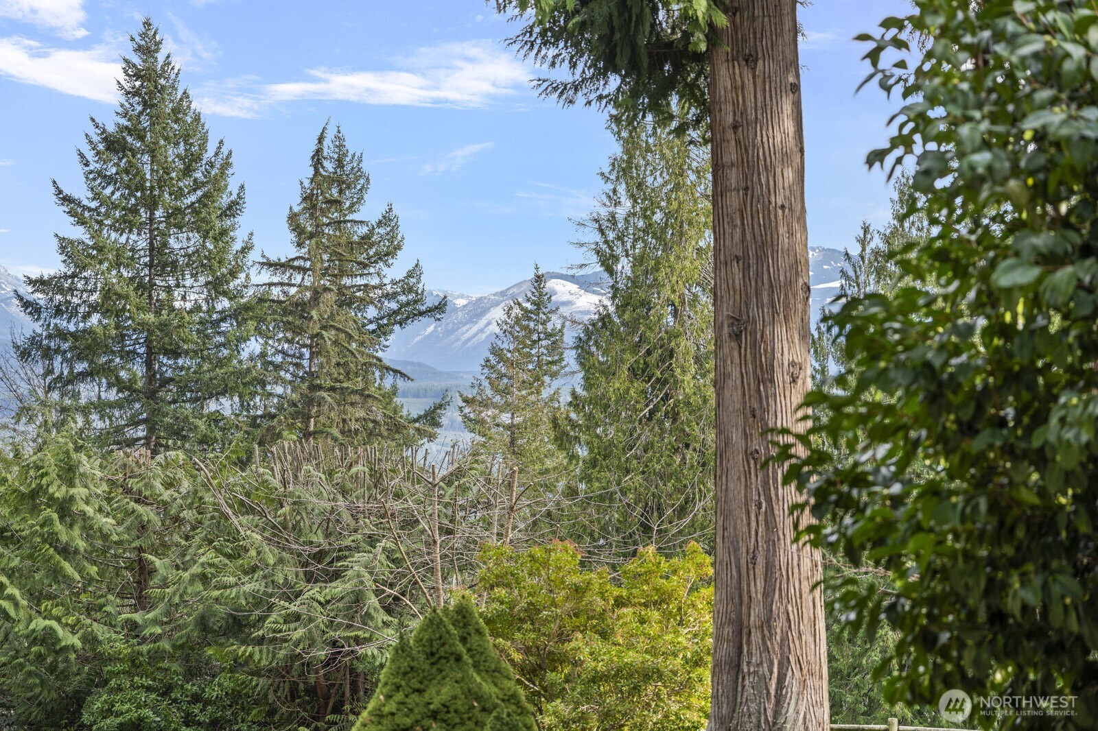 2417 293rd Place Northeast Carnation, WA 98014 - Photo 34 of 39