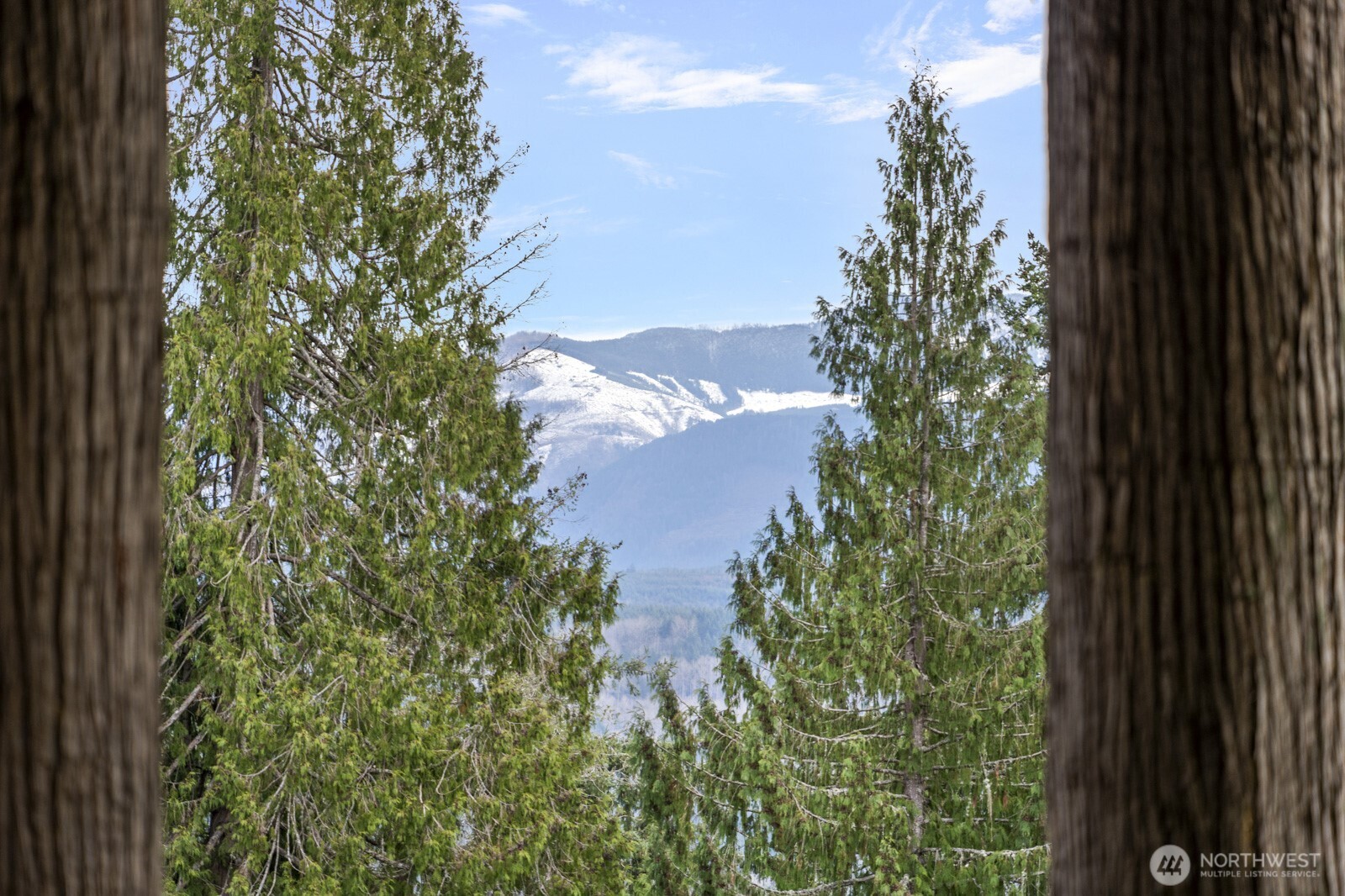 2417 293rd Place Northeast Carnation, WA 98014 - Photo 35 of 39