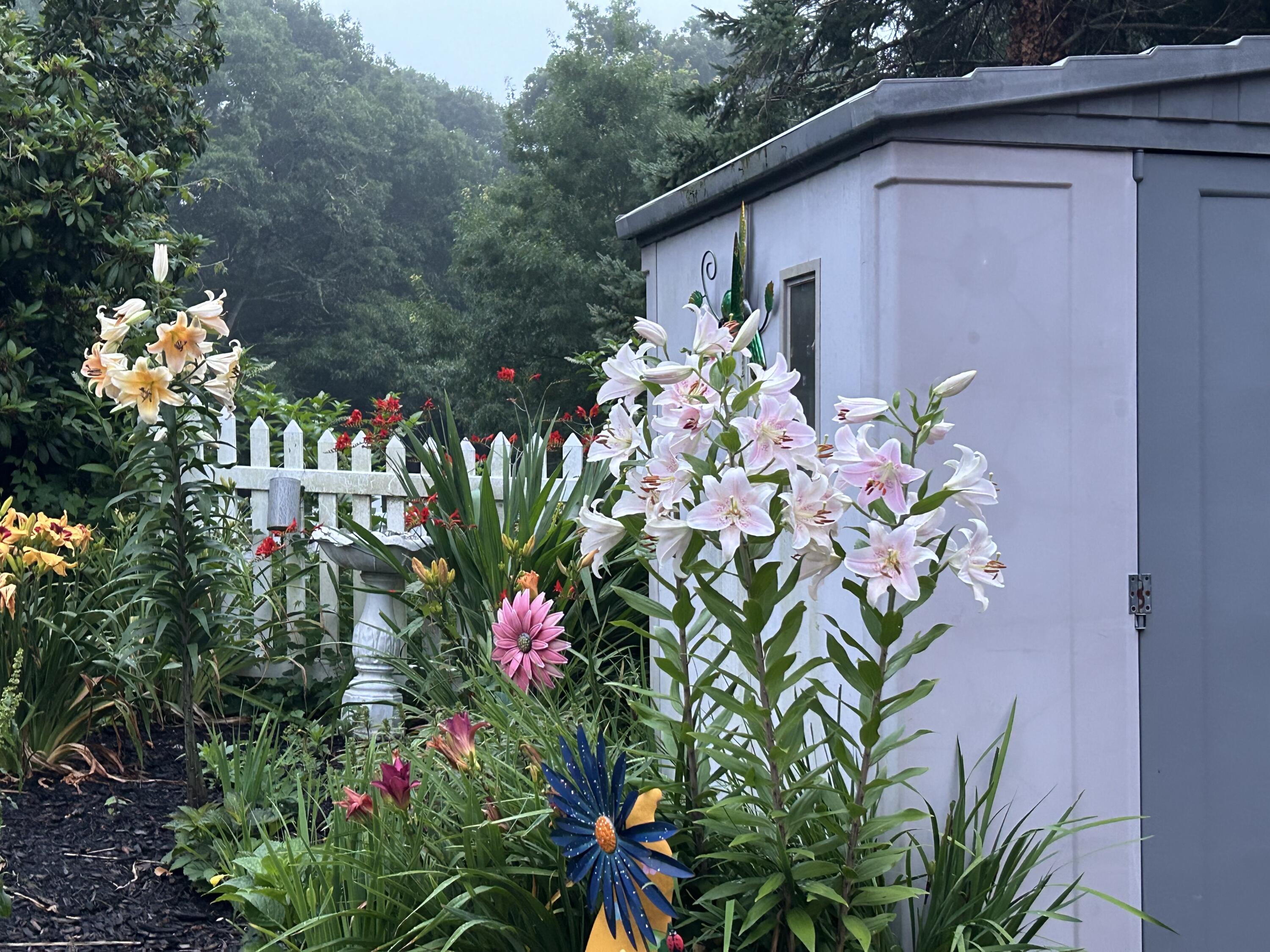 9 Bittersweet Road East Falmouth, MA 02536 - Photo 16 of 24