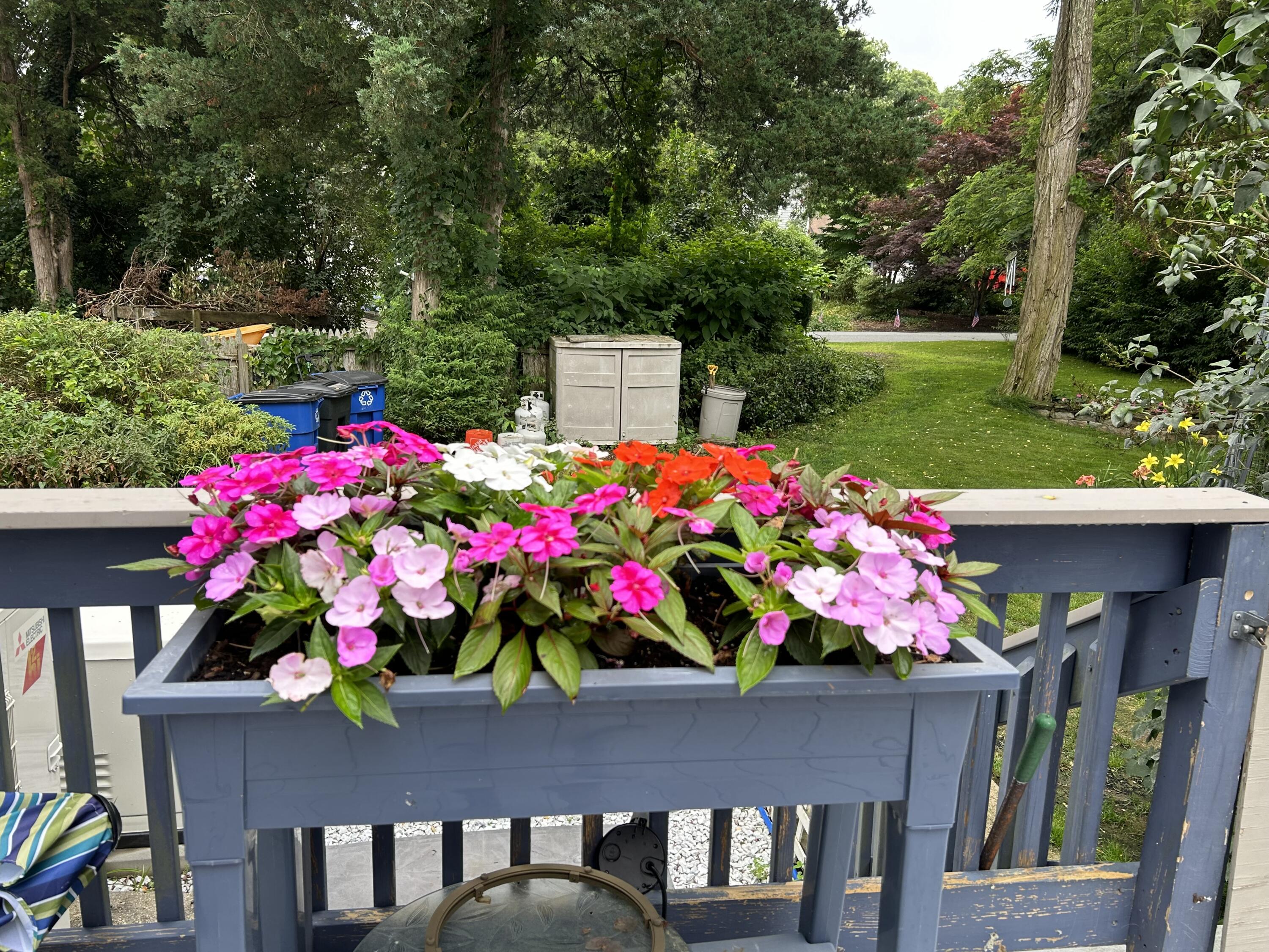 9 Bittersweet Road East Falmouth, MA 02536 - Photo 18 of 24 a view of a house with a flower garden