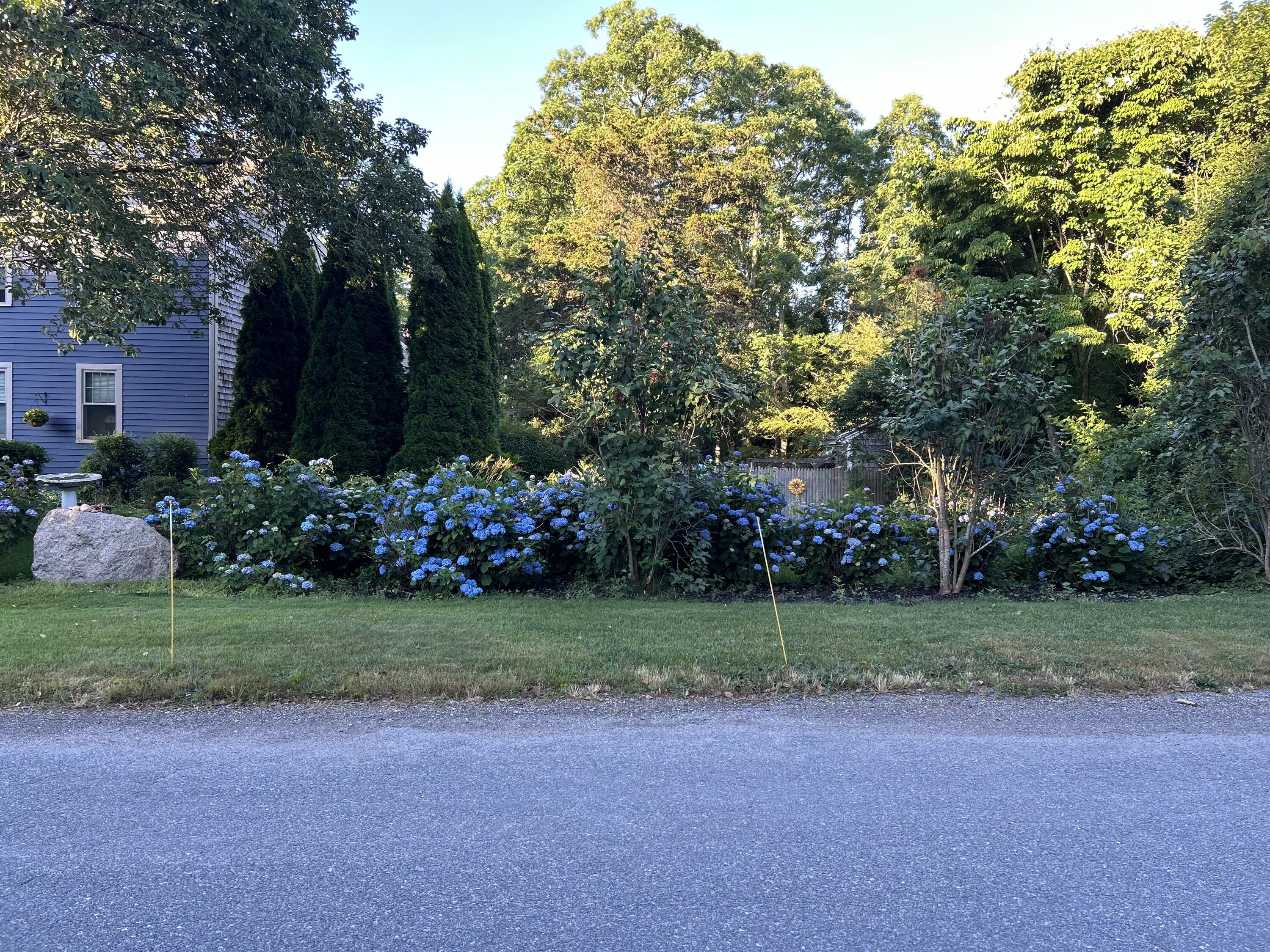 9 Bittersweet Road East Falmouth, MA 02536 - Photo 23 of 24 a view of a house with a big yard and large trees