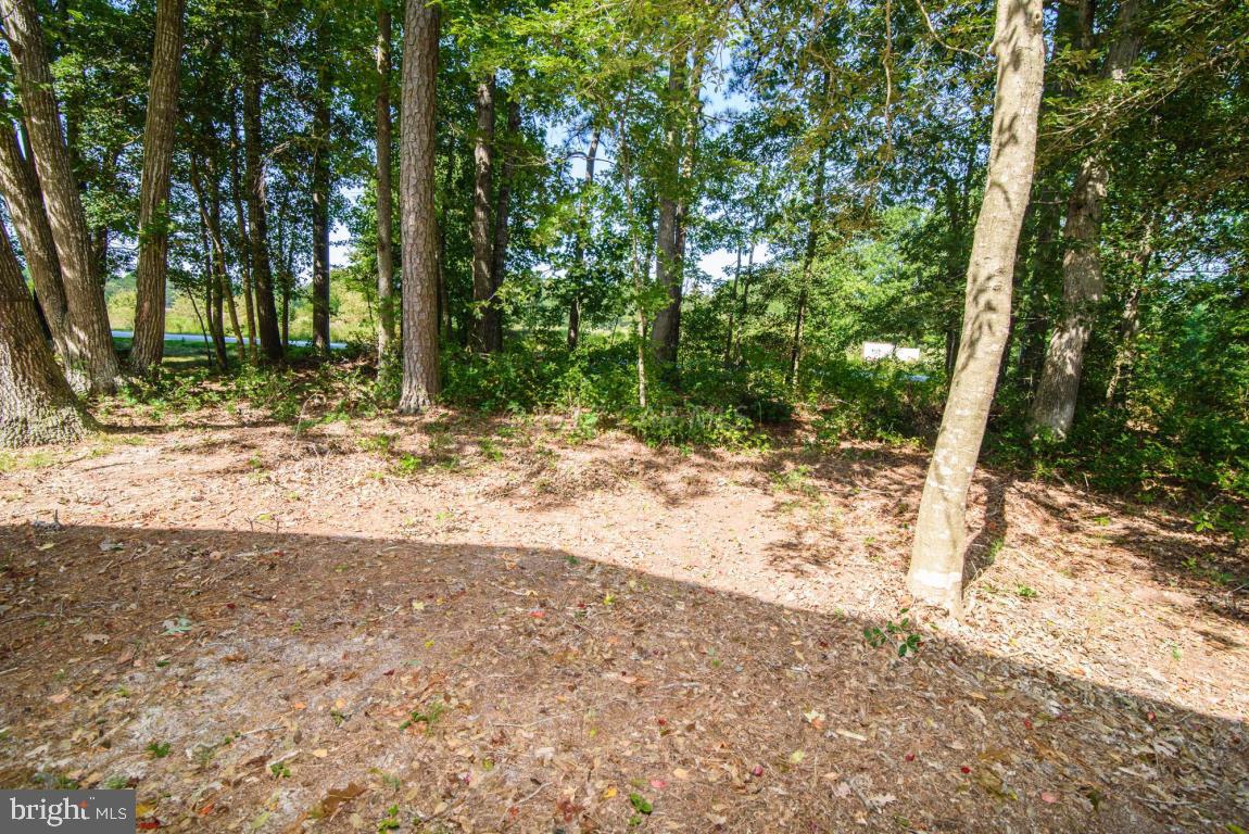 125 Pinehurst Road Ocean Pines, MD 21811 - Photo 28 of 49 a view of a yard with large trees