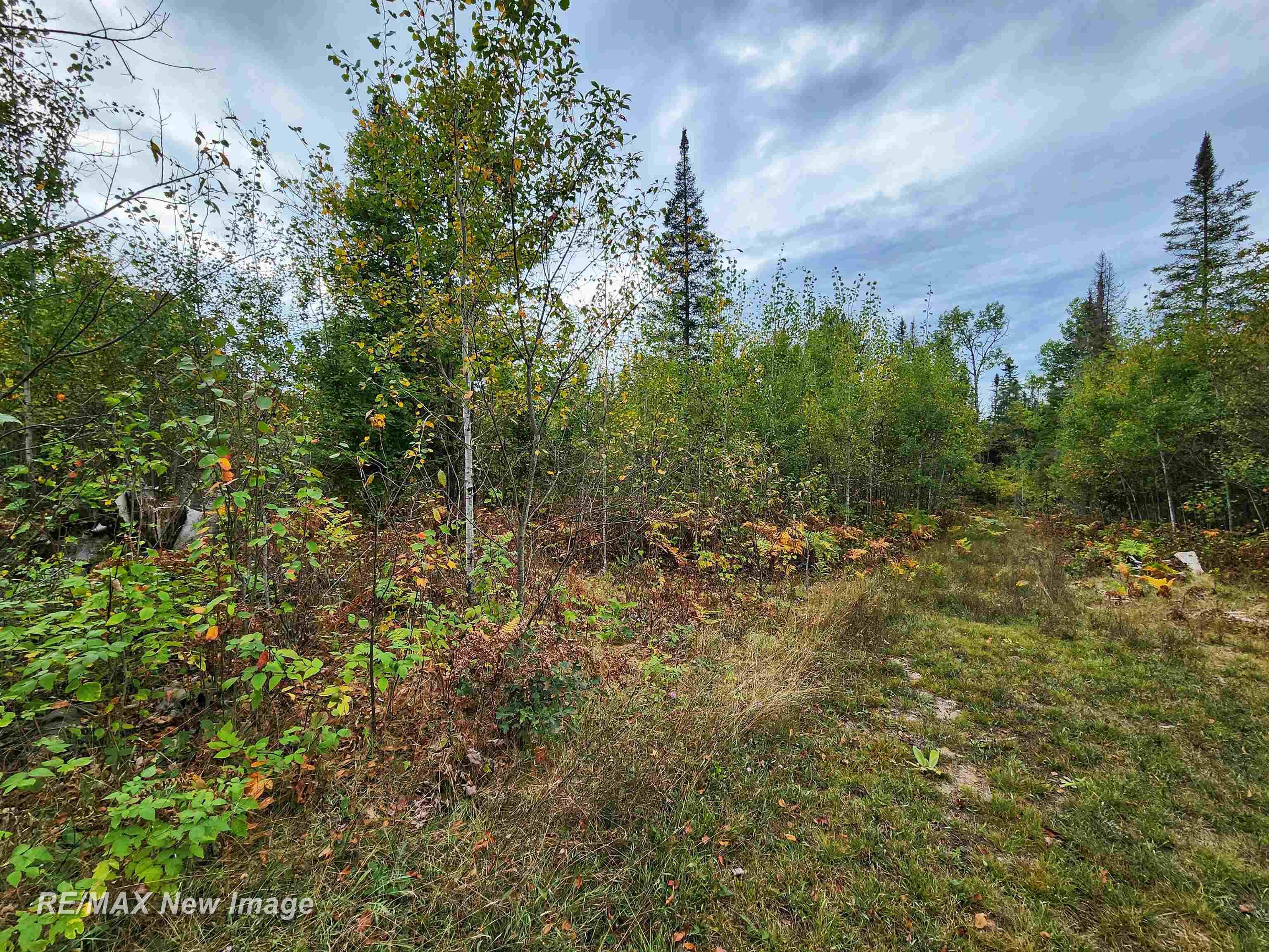 Maybee Road West Branch, MI 48661 - Photo 13 of 32 Gallery Image 13