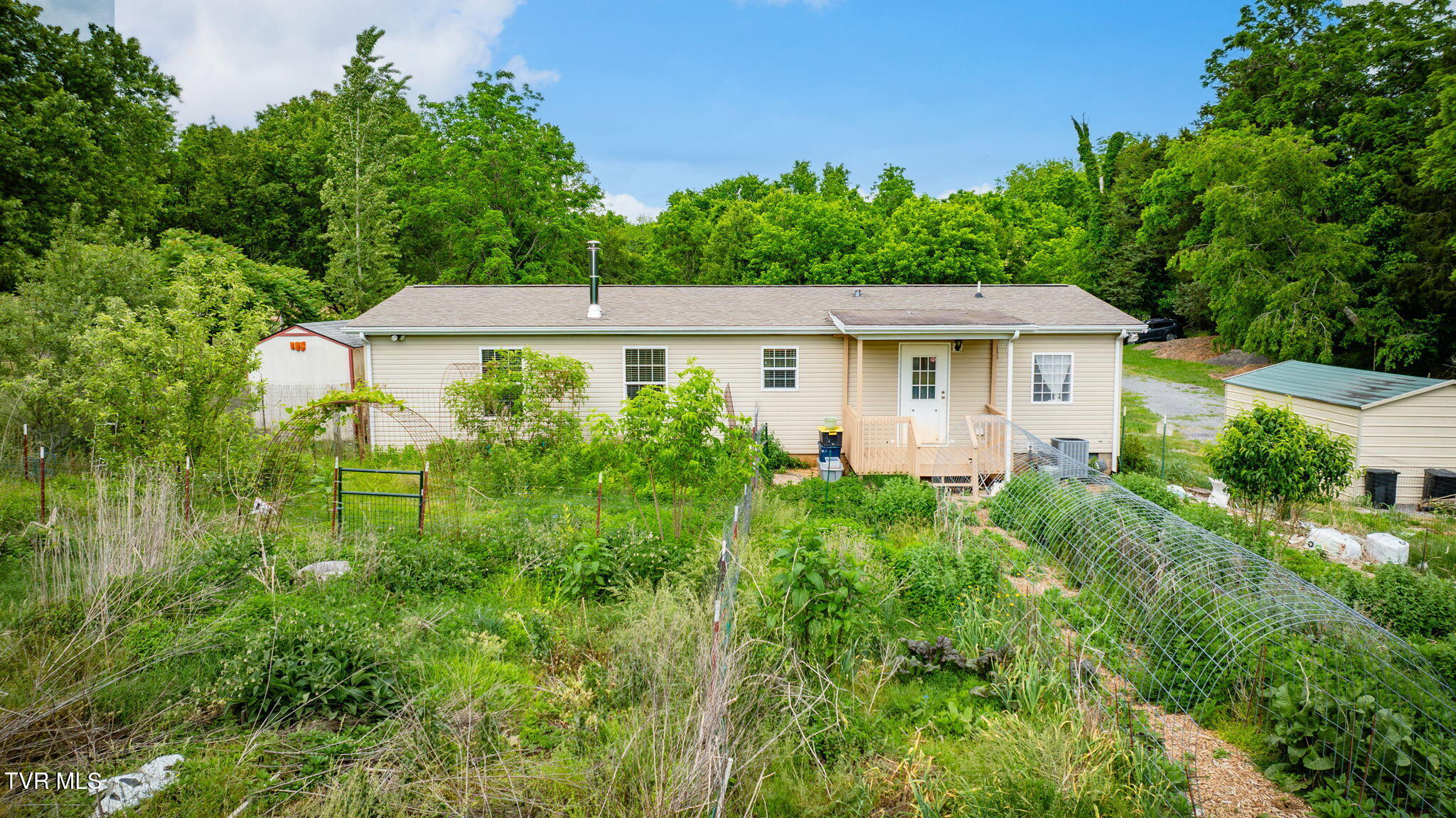 108 Richards Road Rogersville, TN 37857 - Photo 13 of 18 Organic Backyard