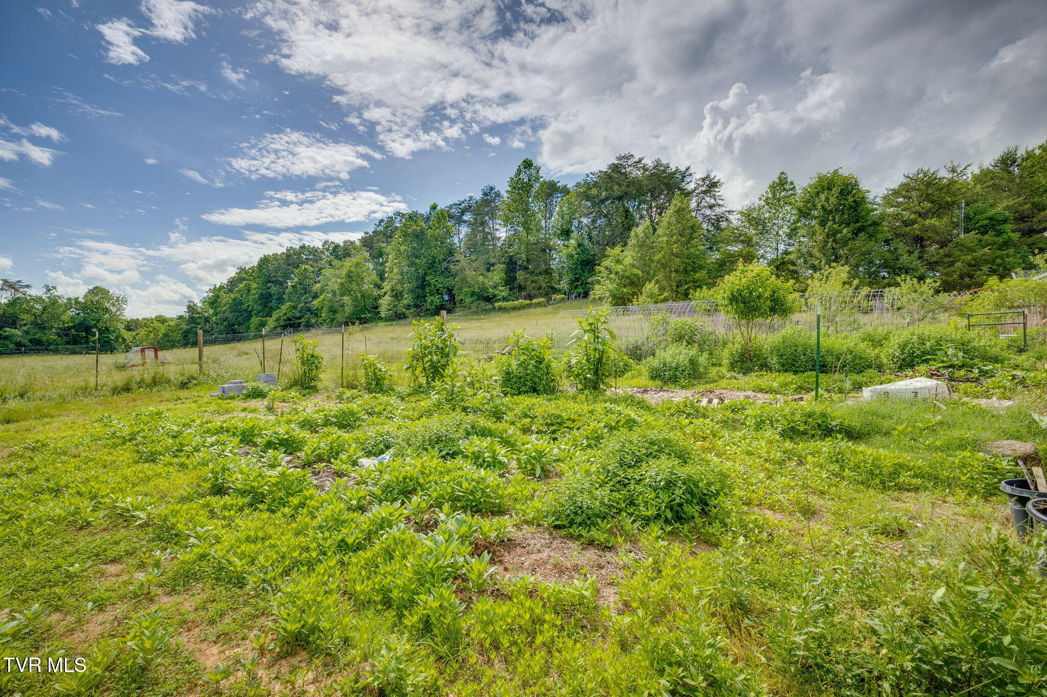 108 Richards Road Rogersville, TN 37857 - Photo 14 of 18 Pasture