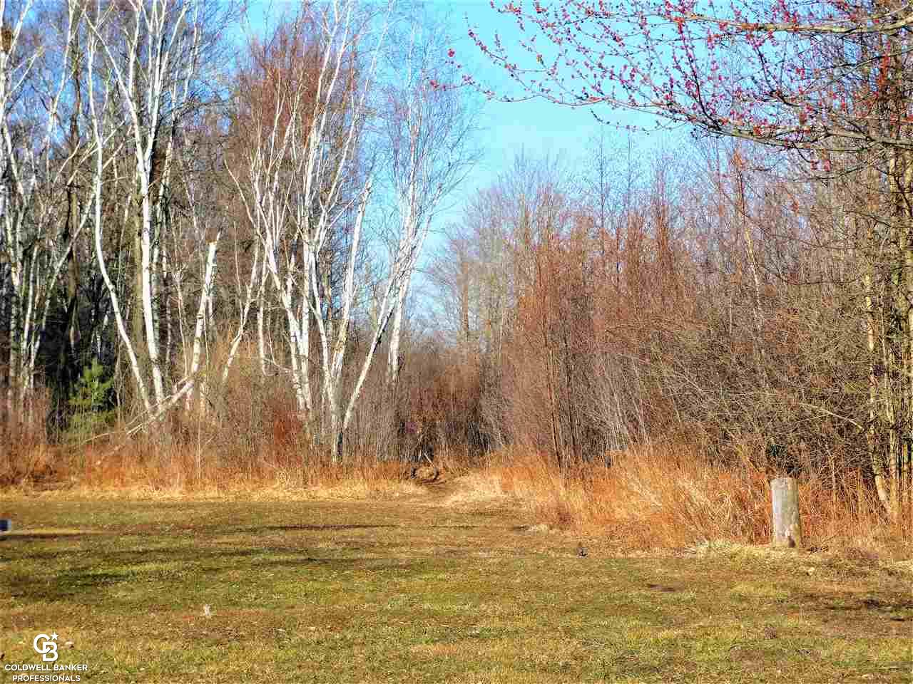 1305 Allen Road Smiths Creek, MI 48074 - Photo 13 of 80 50036783-12.JPG