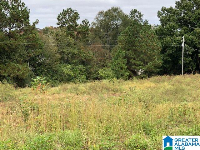 798 Starnes Chapel Road Blountsville, AL 35031 - Photo 19 of 22
