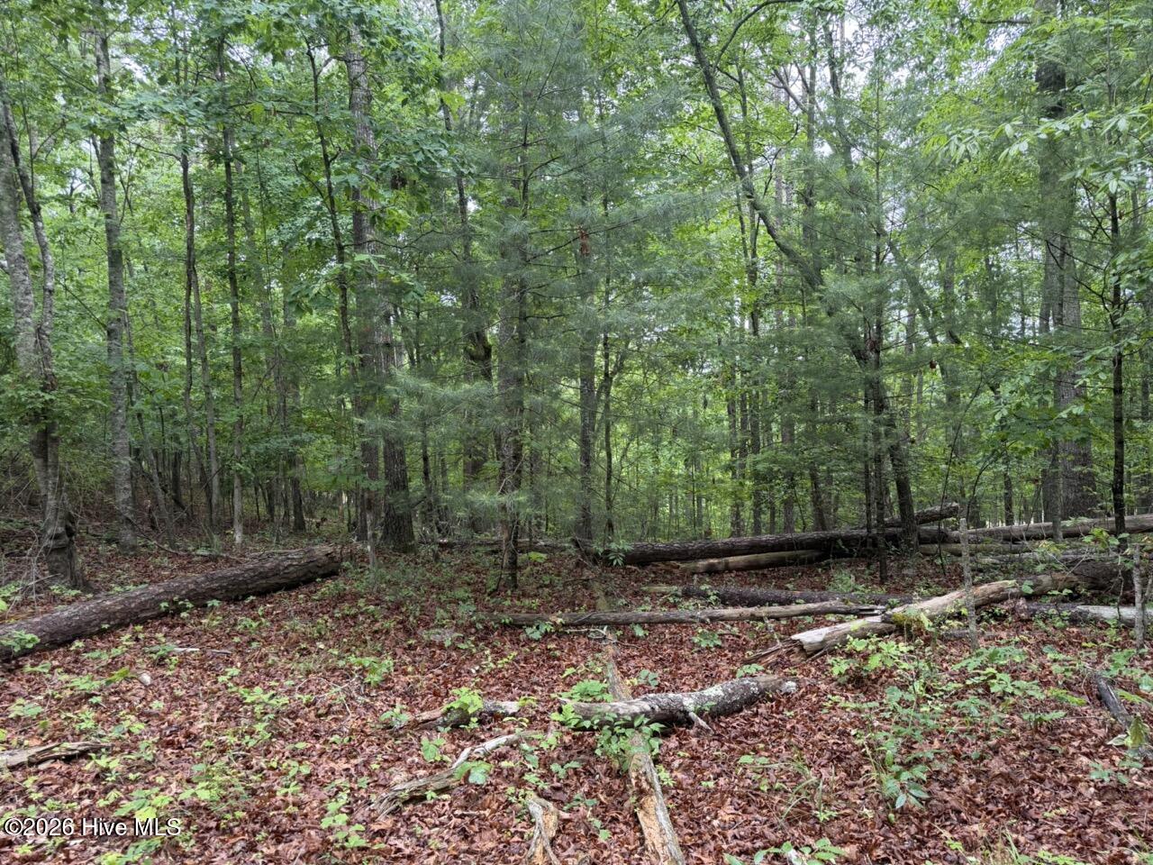 274 Snow Hill Ridge Road Murphy, NC 28906 - Photo 30 of 30