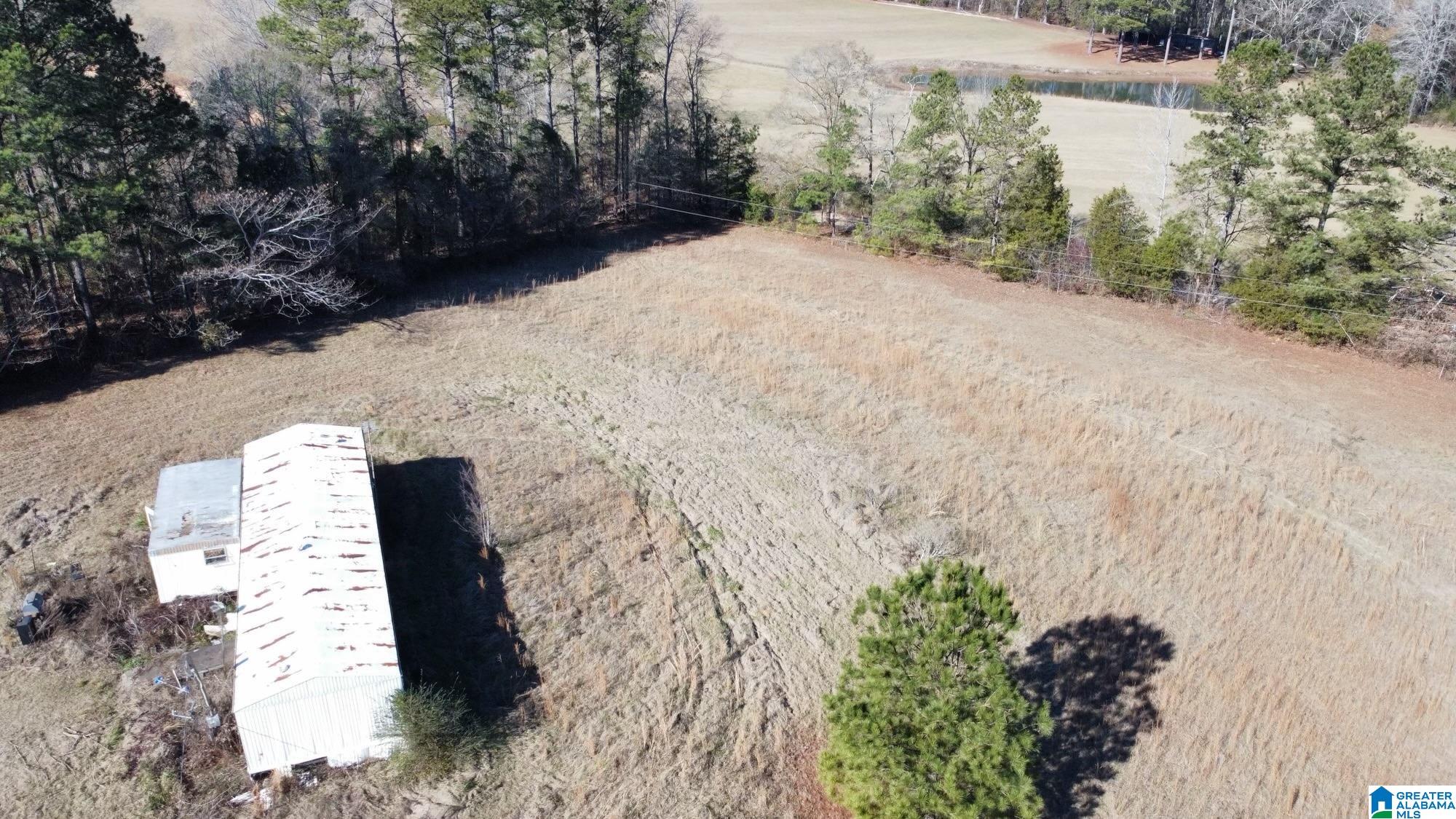 40 County Road 494 Verbena, AL 36091 - Photo 11 of 16