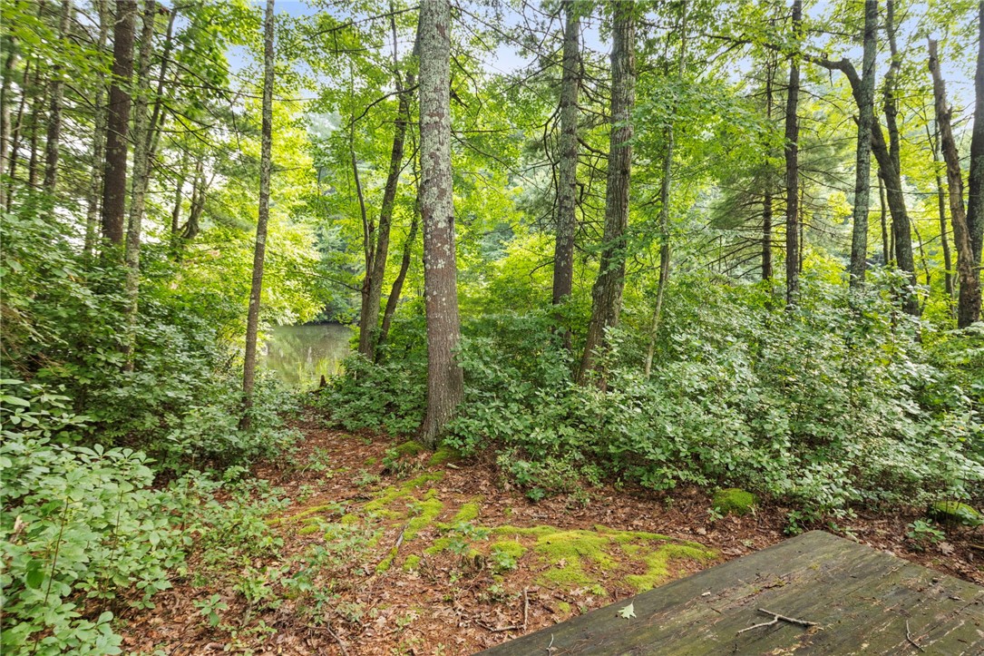 54 Pine Ledge Road Glocester, RI 02857 - Photo 34 of 44 Log cabin water view