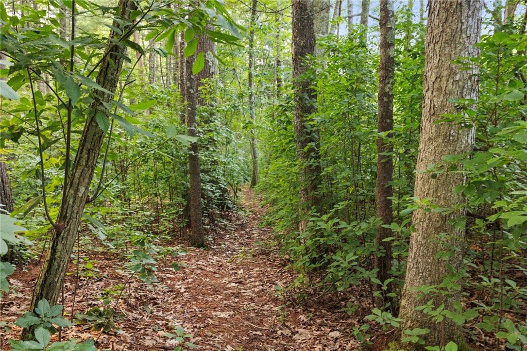 54 Pine Ledge Road Glocester, RI 02857 - Photo 35 of 44 Walking path