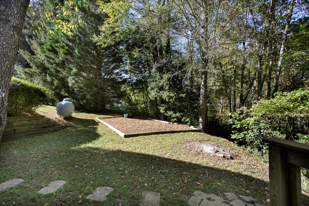 14 Rivendell Way Hayesville, NC 28904 - Photo 50 of 66