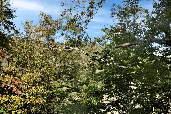 $560,000 | 14 Rivendell Way, Hayesville, NC 28904