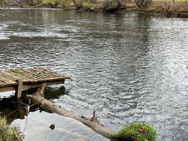 14 Rivendell Way Hayesville, NC 28904 - Photo 62 of 66