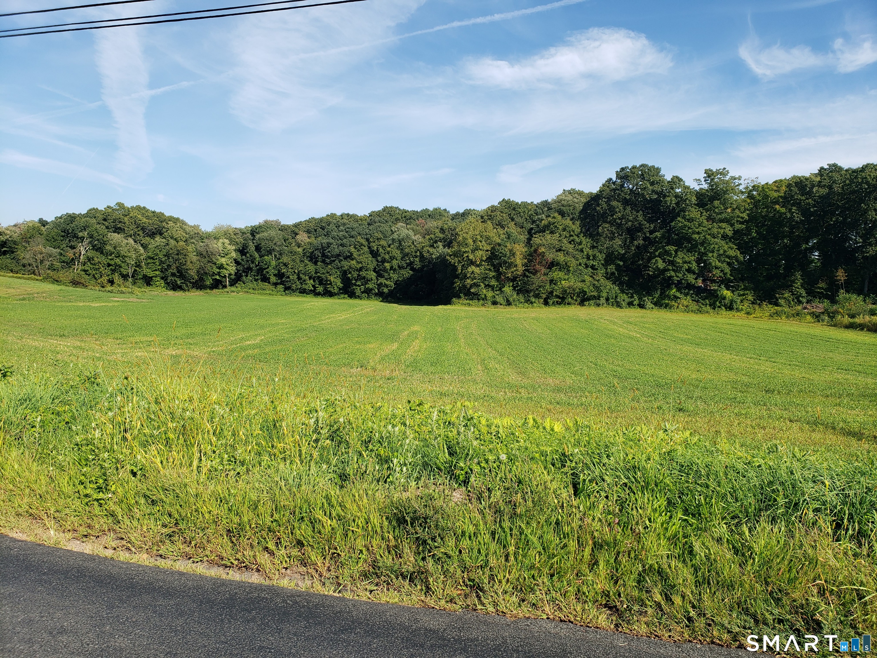 0 Chamberlain Road Broad Brook, CT 06016 - Photo 11 of 16 a view of field with tall trees