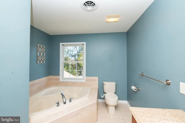 a bathroom with a bathtub and a toilet