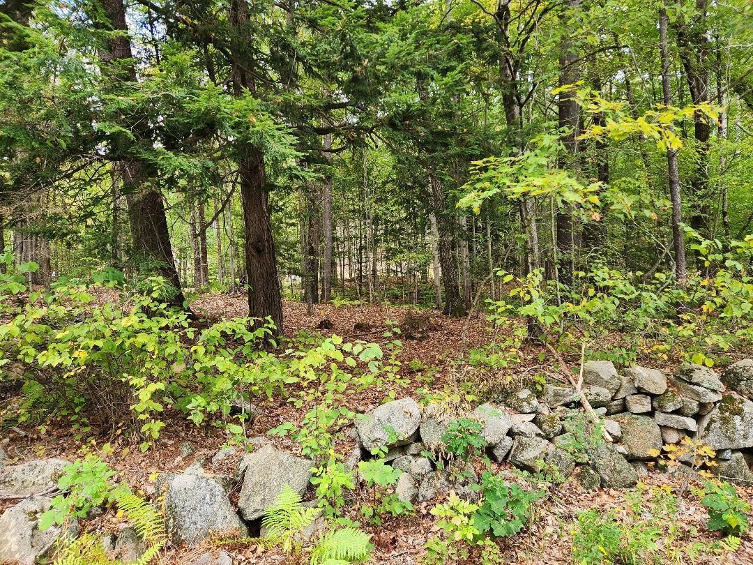 Lot 27-1 Old Walpole Road Keene, NH 03431 - Photo 2 of 9