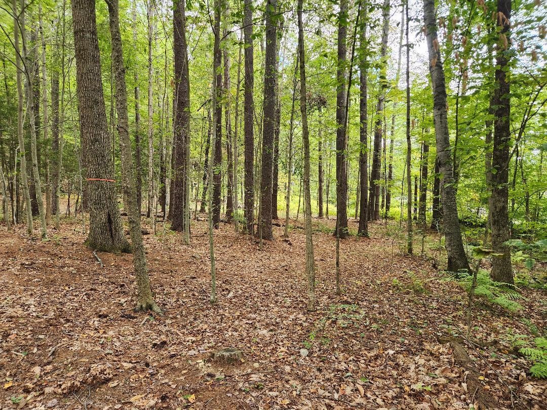 Lot 27-1 Old Walpole Road Keene, NH 03431 - Photo 5 of 9