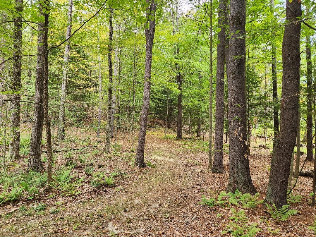 Lot 27-1 Old Walpole Road Keene, NH 03431 - Photo 6 of 9