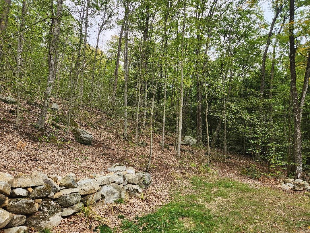 Lot 27-1 Old Walpole Road Keene, NH 03431 - Photo 8 of 9