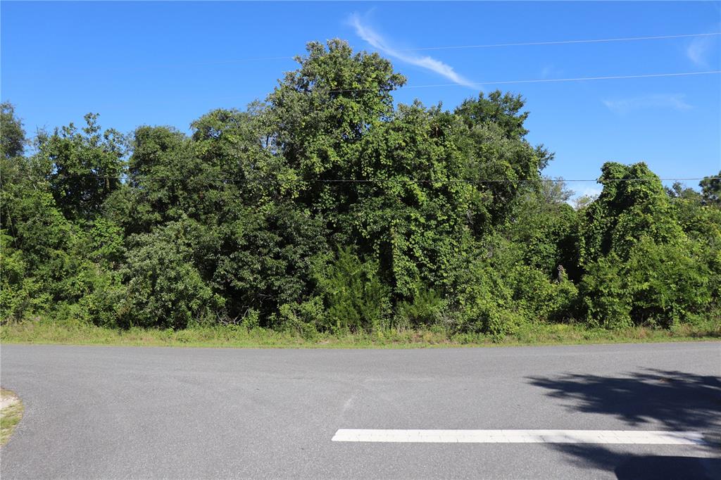 0 Horned Owl Road Brooksville, FL 34614 - Photo 1 of 1 FRONT VIEW