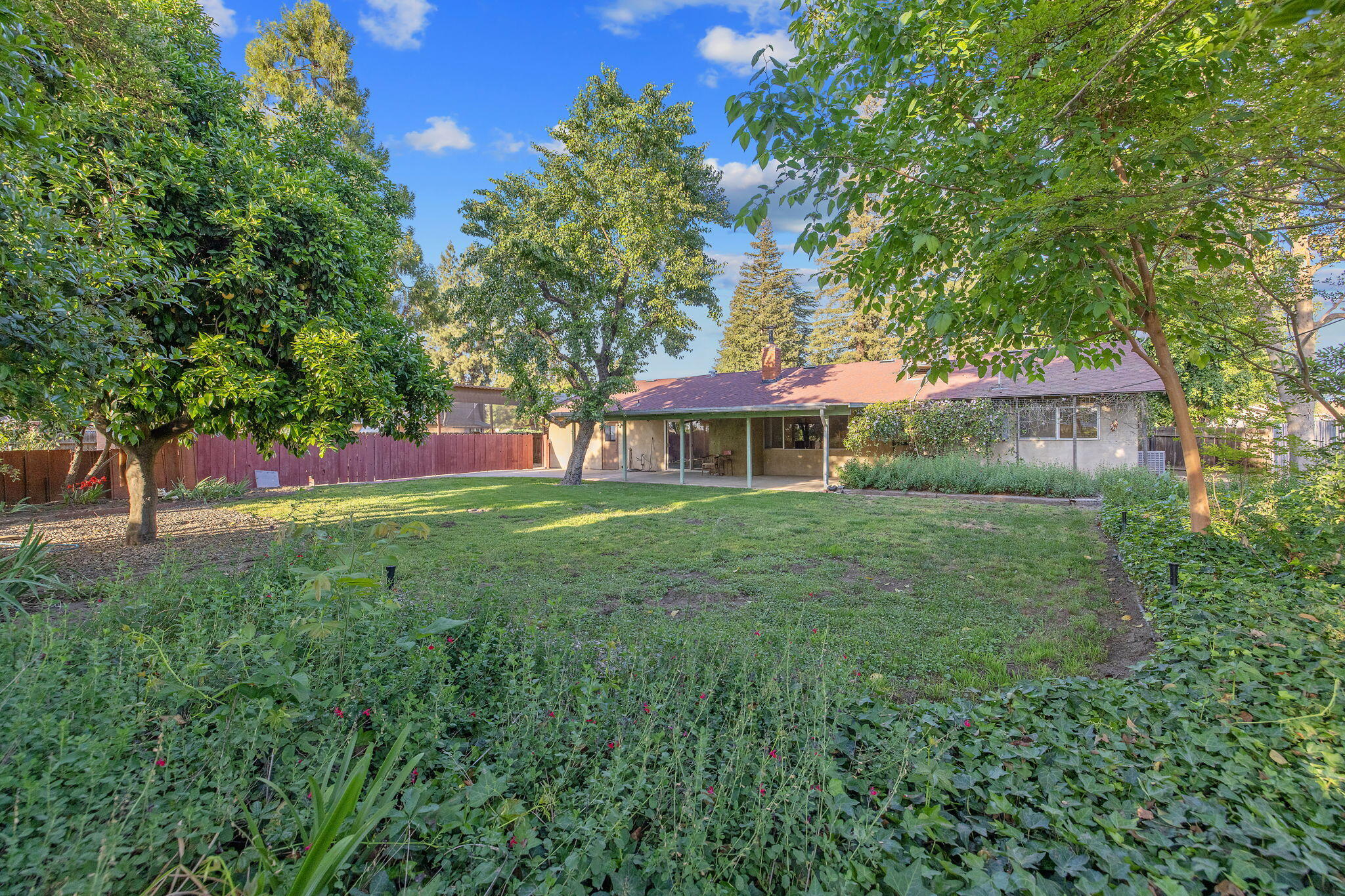30955 Tower Road Visalia, CA 93292 - Photo 46 of 65 56-web-or-mls-713A5752