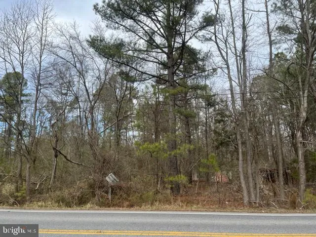 a view of a white house and a yard and street