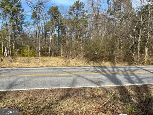 a view of a yard with a pathway