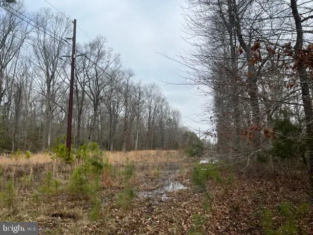 a view of backyard with green space