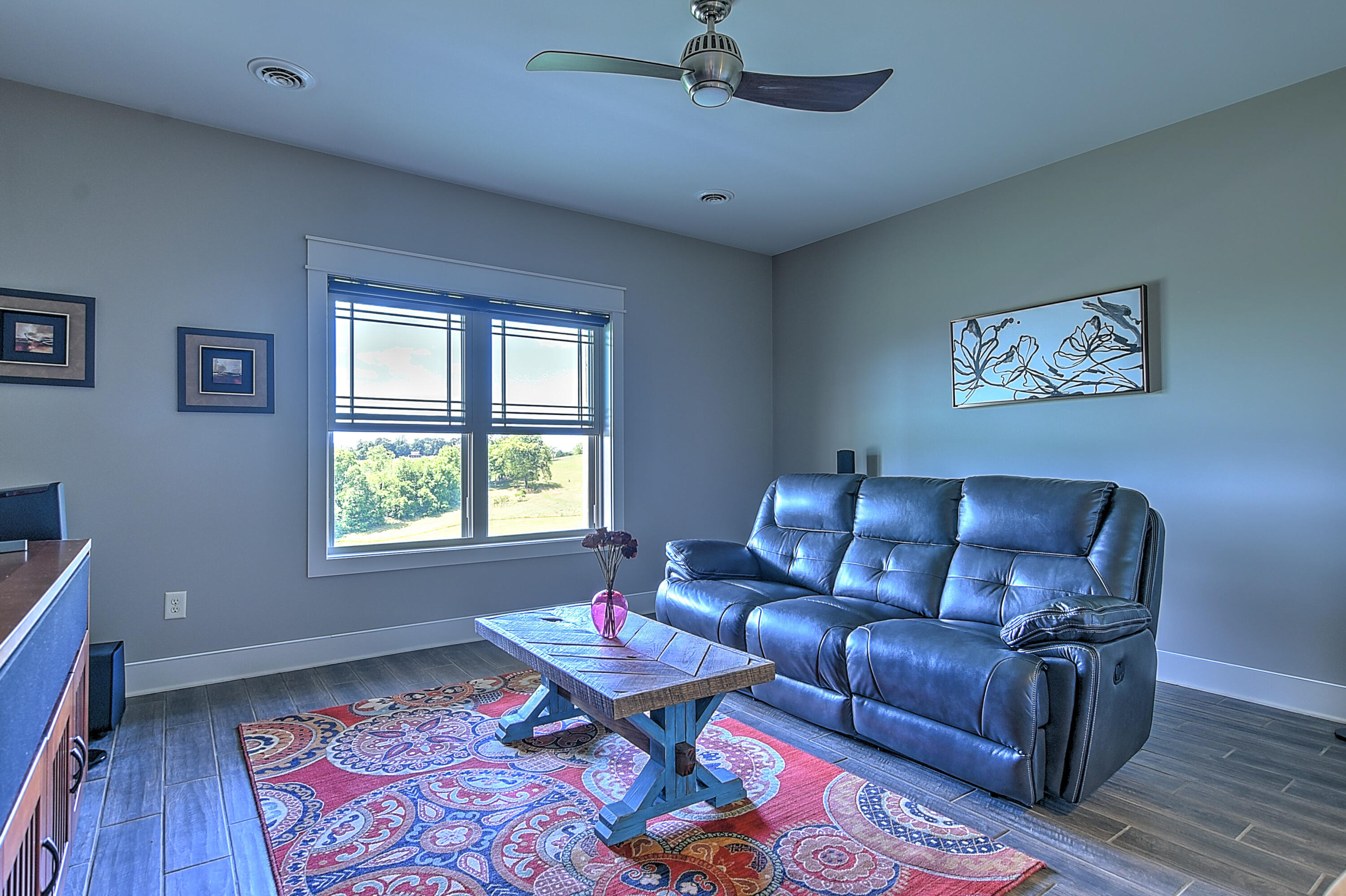 785 Hales Chapel Road Gray, TN 37615 - Photo 41 of 55 785 Hales Chapel Rd-36