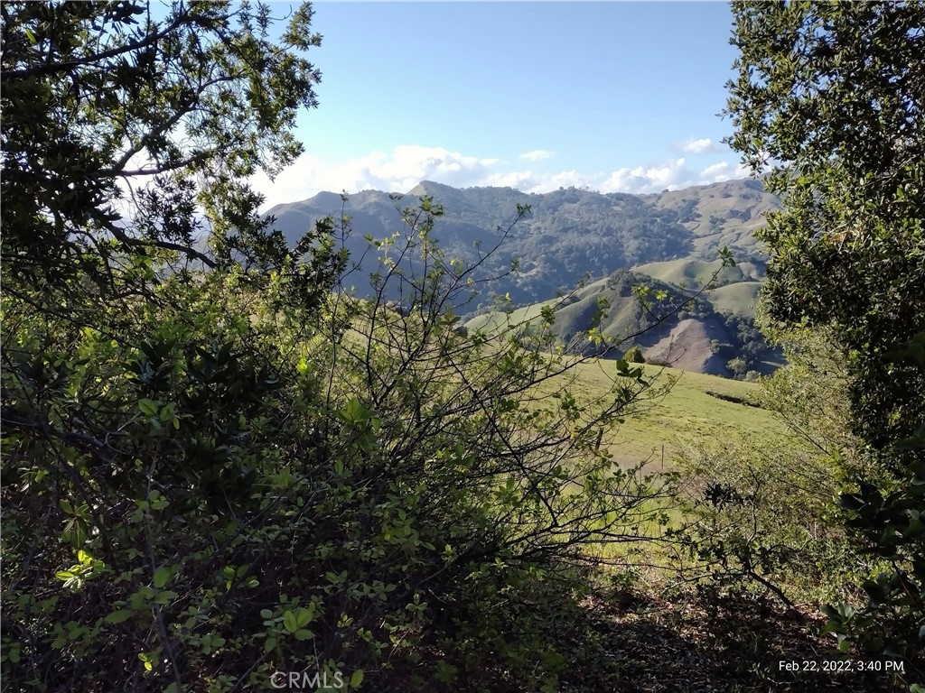 9500 Santa Rosa Creek Road Cambria, CA 93428 - Photo 25 of 33