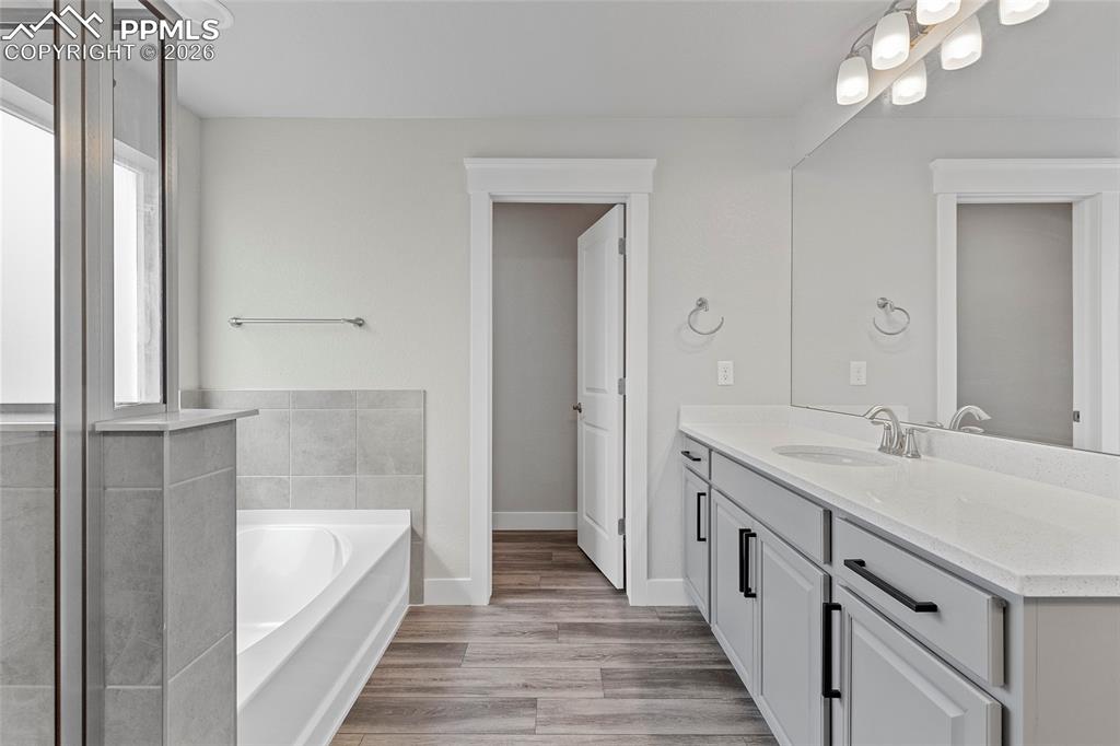15777 Little Bluestem Road Monument, CO 80132 - Photo 13 of 50 a spacious bathroom with a tub sink and mirror