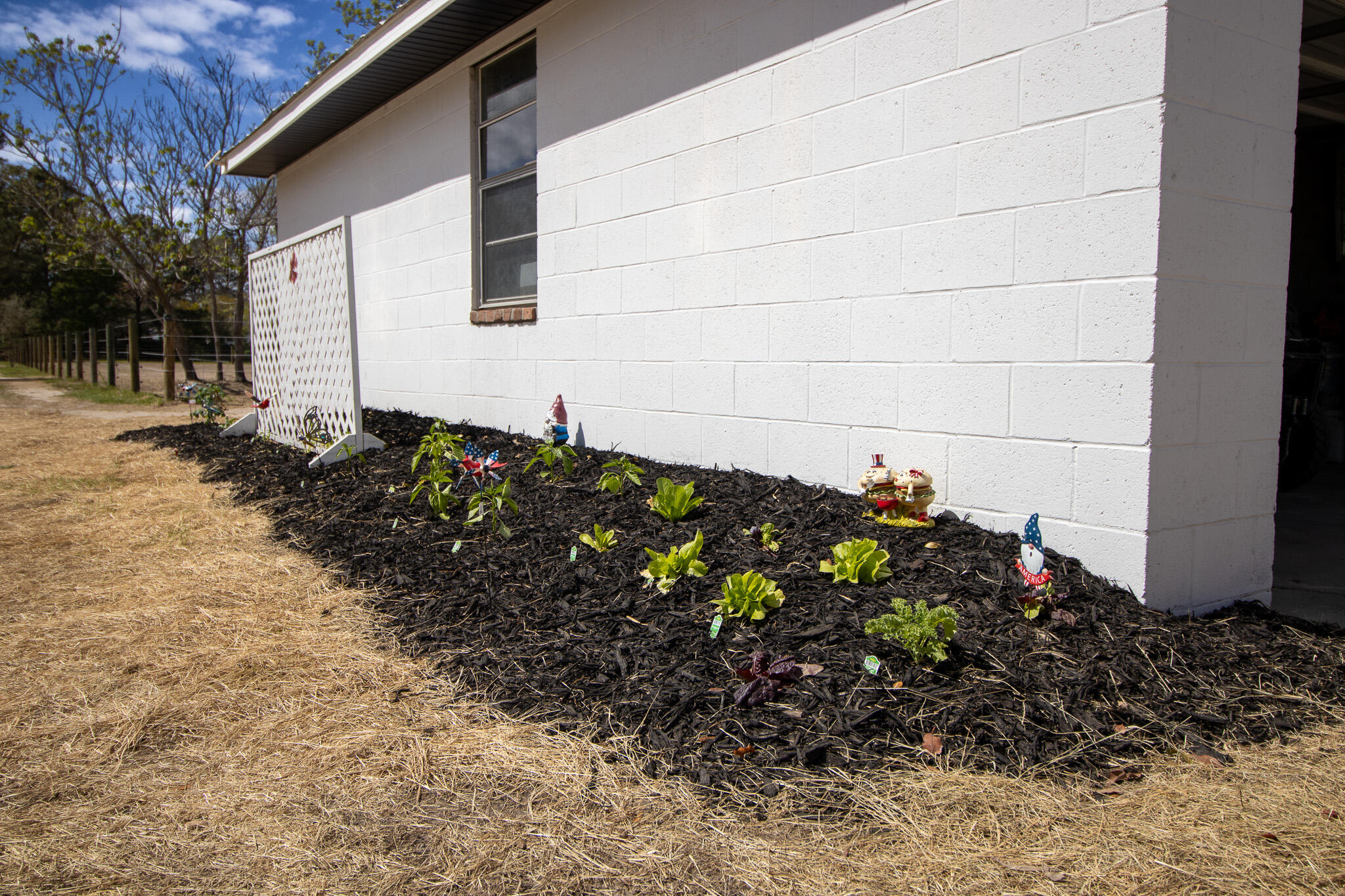 142 Hopewell Road North, SC 29112 - Photo 40 of 112