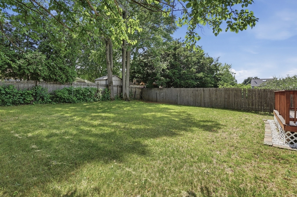 29 Rosella Street Springfield, MA 01118 - Photo 4 of 36