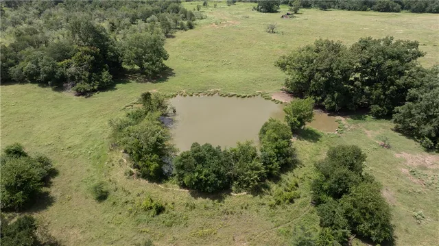 a view of a lake from a yard