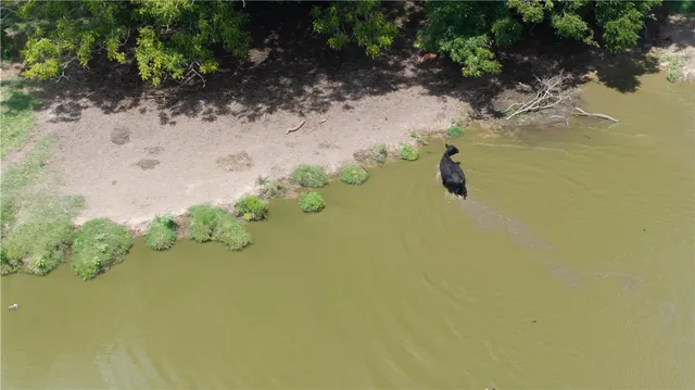 a view of a swimming pool with a yard