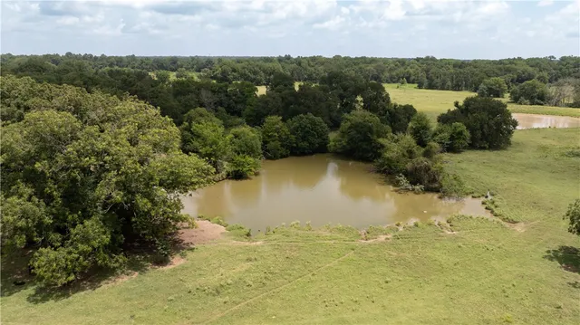 a view of a field with an trees