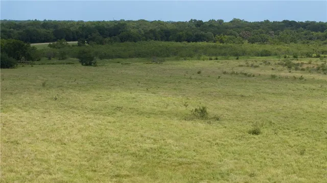 a view of a field with an trees