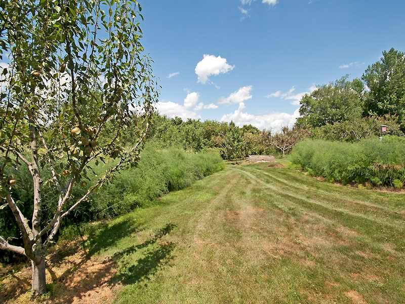 1543 Bakerstown Road Tarentum, PA 15084 - Photo 19 of 25 Land/Lot. Vegetable gardens. Asparagus in bloom.