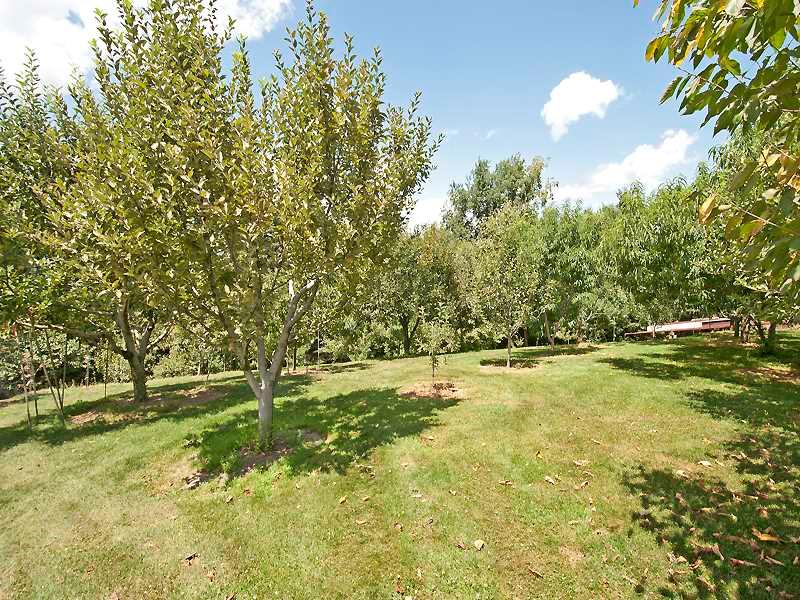 1543 Bakerstown Road Tarentum, PA 15084 - Photo 20 of 25 Land/Lot. The orchard. Beautiful fruit bearing trees. Apples, peaches, plums, nectarines, pears, apples, cherries. Walnut trees and grapevines !