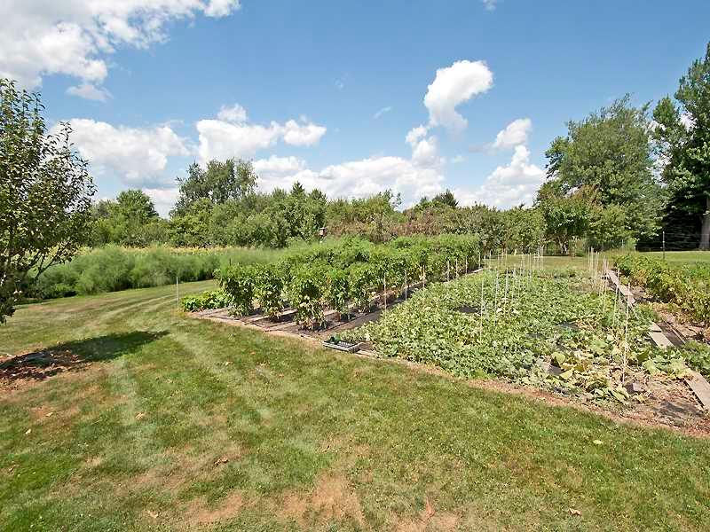 1543 Bakerstown Road Tarentum, PA 15084 - Photo 21 of 25 Land/Lot. Vegetable garden area.