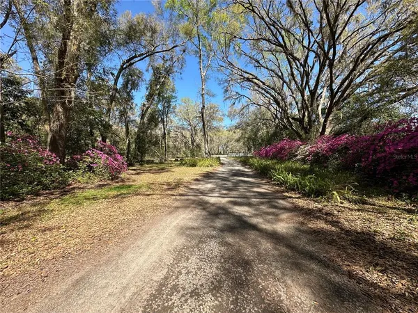 a view of road with trees